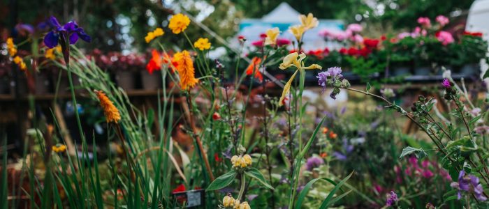 Hellens Garden Festival 2025