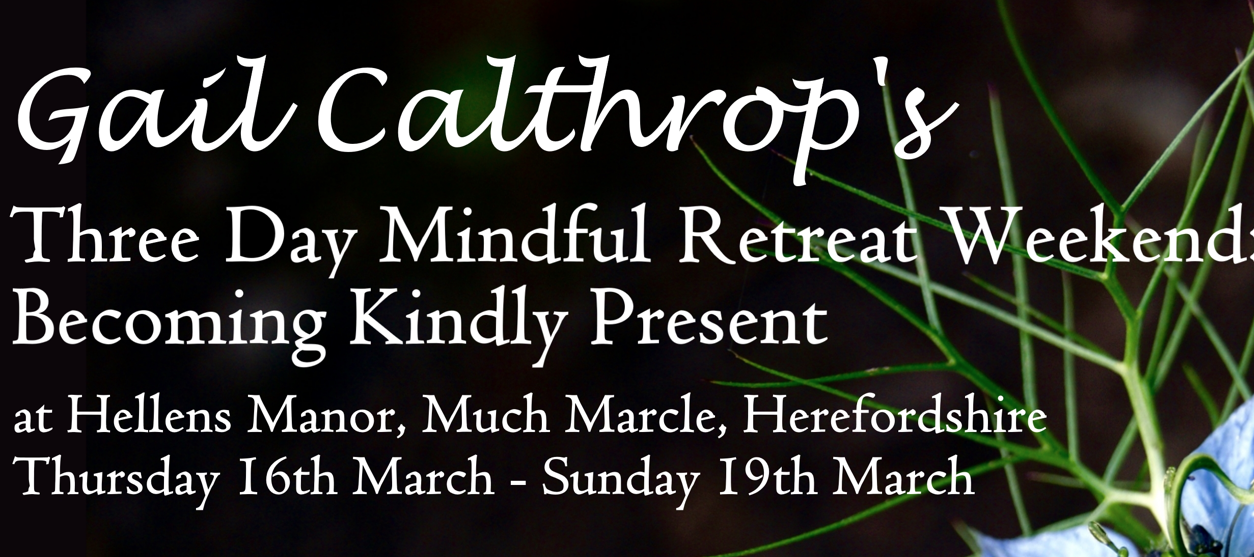 Three Day Mindful Retreat Weekend: Becoming Kindly Present