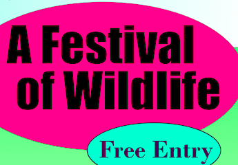 A Festival of Wildlife