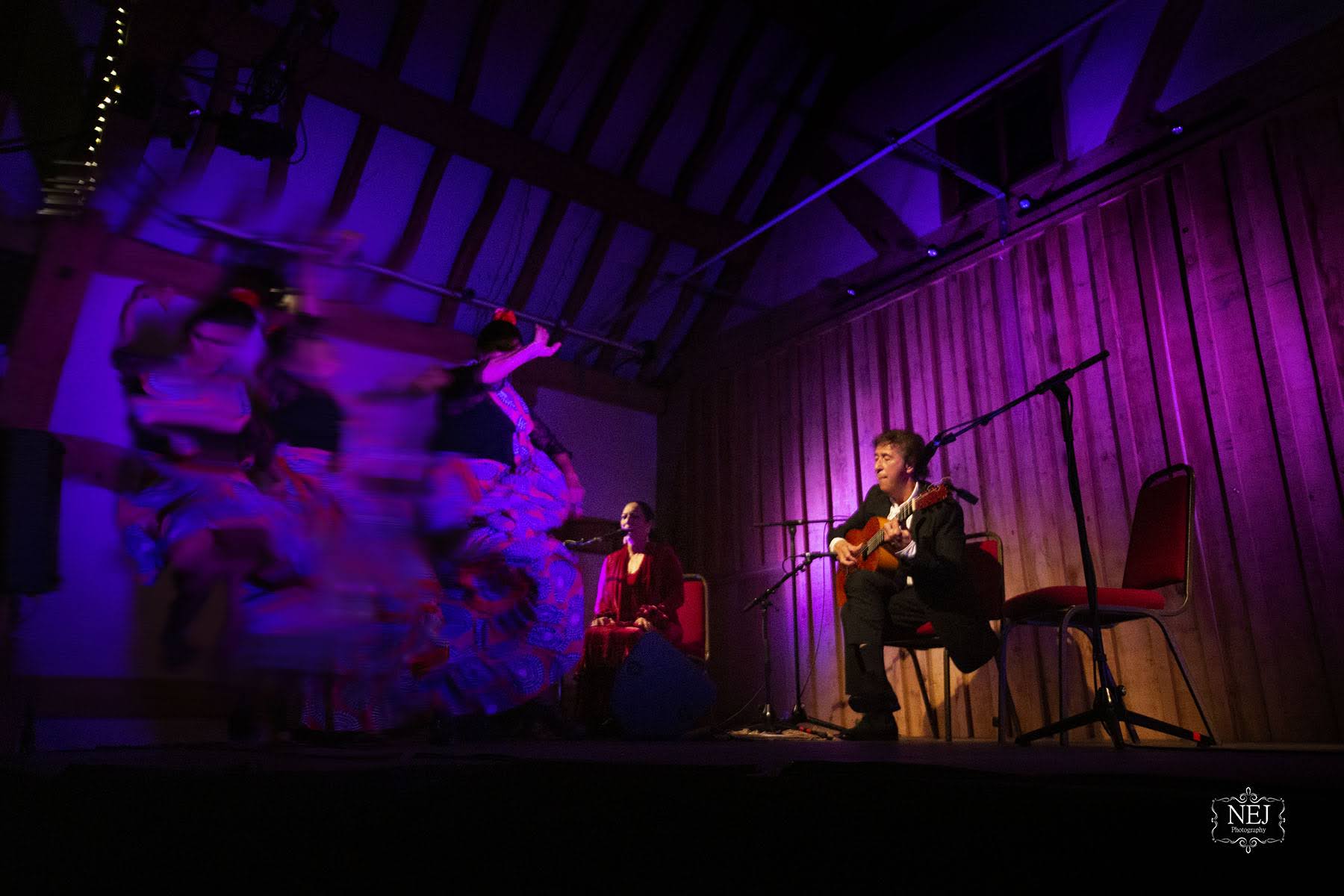 CONCERT: Juan Martin